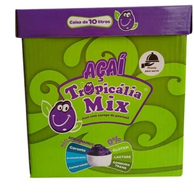 açai para sorveteria 10l caixa