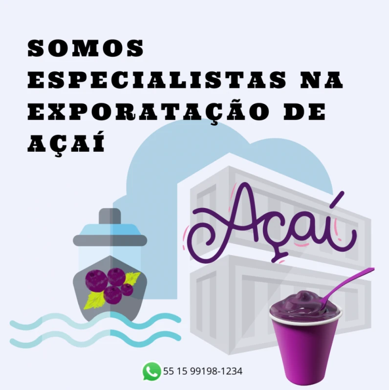 exportação de açaí congelado