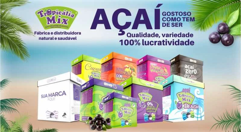 fábrica de açaí para revendas