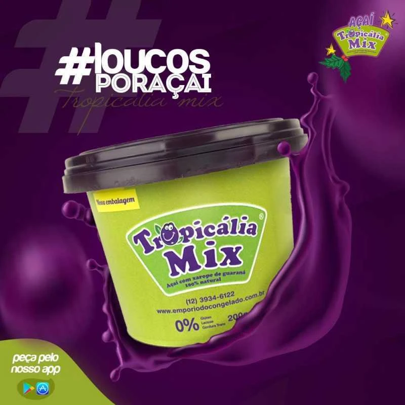 fábrica de açaí para sorveterias