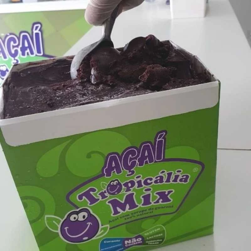 terceirização fabricação de açaí